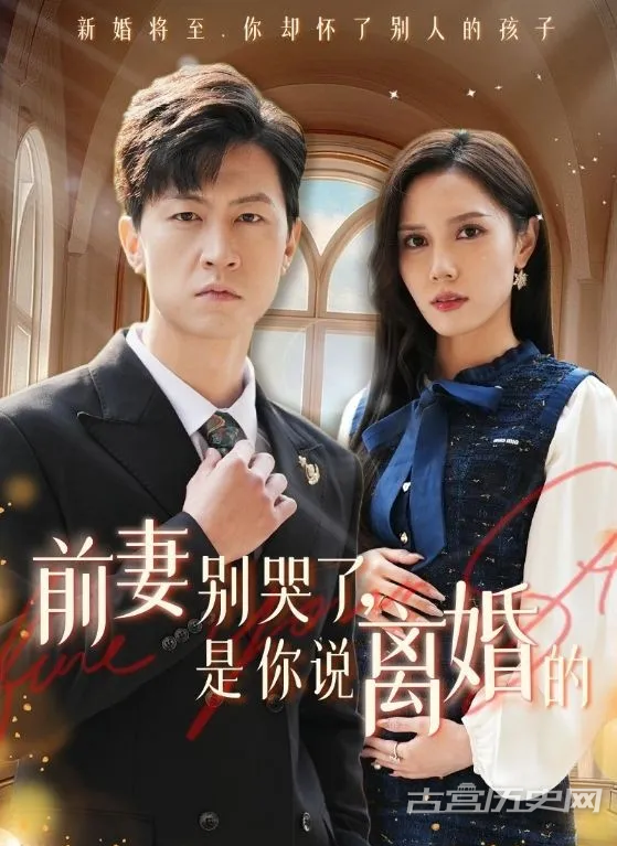 《前妻别哭了，是你说离婚的》剧情介绍