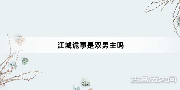 江城诡事是双男主吗