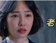 《好团圆》向家三姐妹分别是谁演的？又分别嫁给了谁