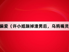 《今日宜偏爱(许小姐踹掉渣男后,乌鸦嘴灵验了)》剧情介绍