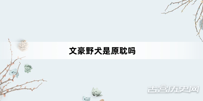 文豪野犬是原耽吗