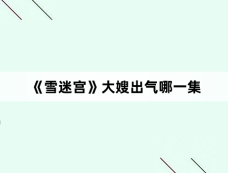 《雪迷宫》大嫂出气哪一集