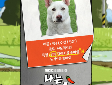 韩剧《我讨厌炸猪排》演员表