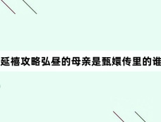 延禧攻略弘昼的母亲是甄嬛传里的谁