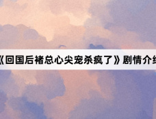 《回国后褚总心尖宠杀疯了》剧情介绍