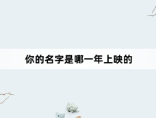 你的名字是哪一年上映的