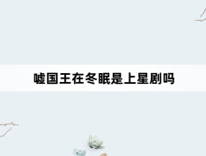 嘘国王在冬眠是上星剧吗