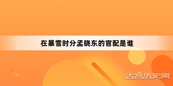 在暴雪时分孟晓东的官配是谁