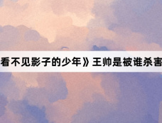 《看不见影子的少年》王帅是被谁杀害的