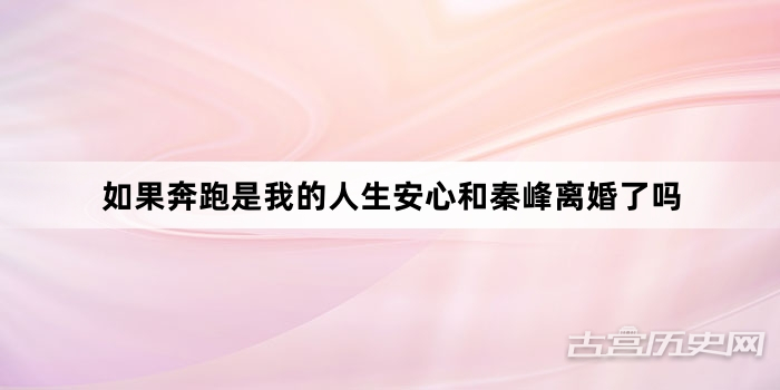 如果奔跑是我的人生安心和秦峰离婚了吗