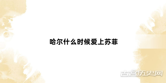哈尔什么时候爱上苏菲