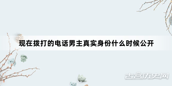 现在拨打的电话男主真实身份什么时候公开