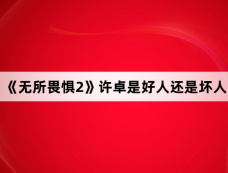 《无所畏惧2》许卓是好人还是坏人