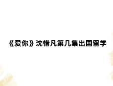 《爱你》沈惜凡第几集出国留学