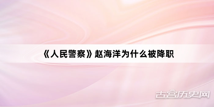 《人民警察》赵海洋为什么被降职