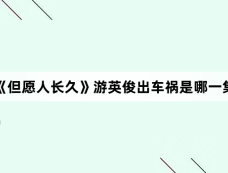 《但愿人长久》游英俊出车祸是哪一集