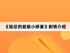 《陆总的超能小娇妻》剧情介绍
