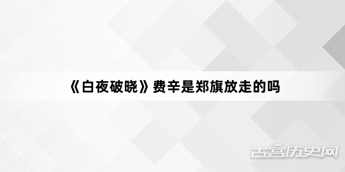 《白夜破晓》费辛是郑旗放走的吗