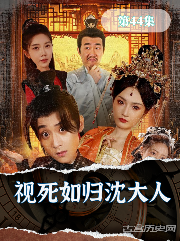 《视死如归沈大人》剧情介绍
