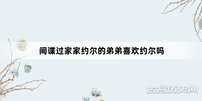 间谍过家家约尔的弟弟喜欢约尔吗