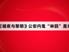 《暗夜与黎明》公安内鬼“林鸱”是谁