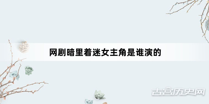 网剧暗里着迷女主角是谁演的