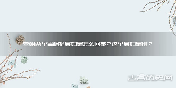 宋朝两个宰相抢寡妇是怎么回事？这个寡妇是谁？