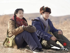 《新一年又一年》全集剧情分集介绍