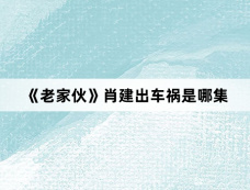《老家伙》肖建出车祸是哪集