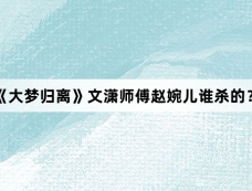 《大梦归离》文潇师傅赵婉儿谁杀的?