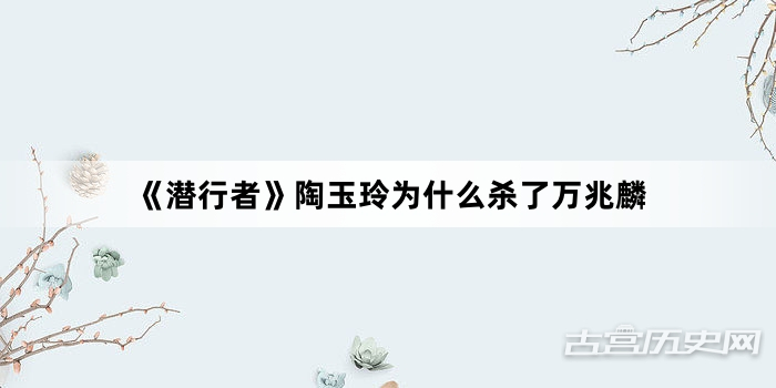 《潜行者》陶玉玲为什么杀了万兆麟