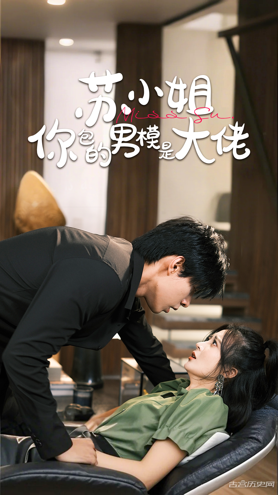 《苏小姐你包的男模是大佬》剧情介绍