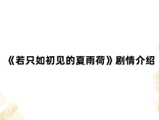 《若只如初见的夏雨荷》剧情介绍