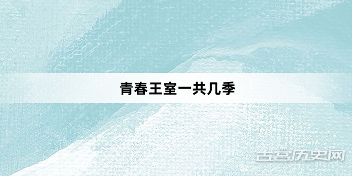 青春王室一共几季