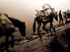 茶马古道的起源介绍