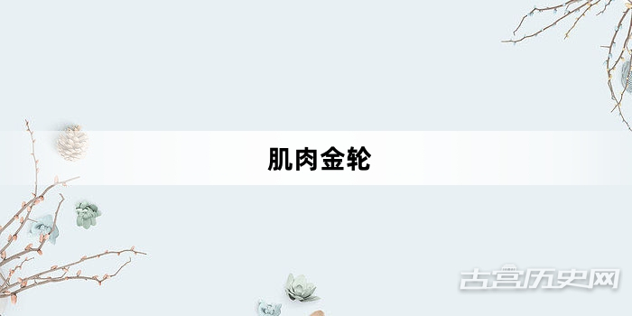 “肌肉金轮”网络梗词解释