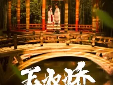 《玉奴娇》有多少集