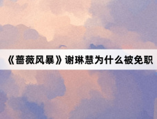 《蔷薇风暴》谢琳慧为什么被免职