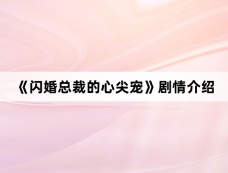 《闪婚总裁的心尖宠》剧情介绍
