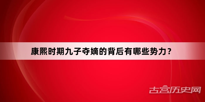康熙时期九子夺嫡的背后有哪些势力？