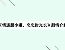 《情迷顾小姐,恋恋时光长》剧情介绍