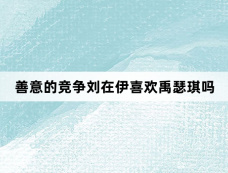 善意的竞争刘在伊喜欢禹瑟琪吗