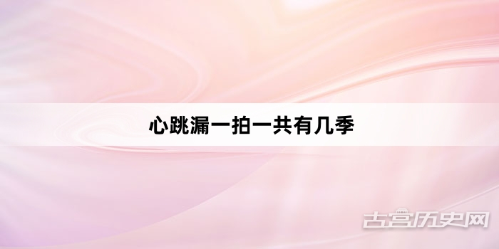 心跳漏一拍一共有几季