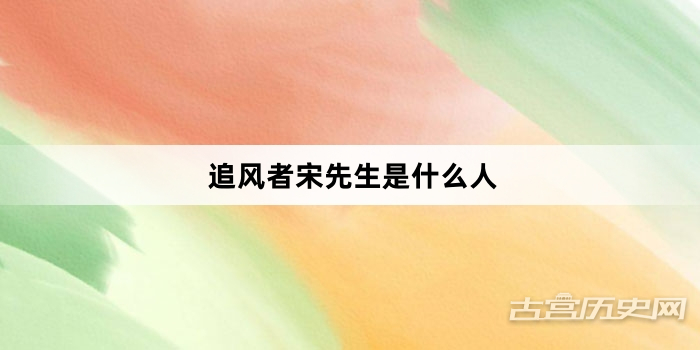 追风者宋先生是什么人