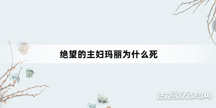绝望的主妇玛丽为什么死