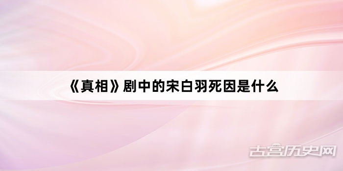 《真相》剧中的宋白羽死因是什么