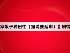 《农家娘子种田忙(据说要延期)》剧情介绍