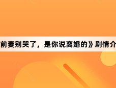 《前妻别哭了,是你说离婚的》剧情介绍