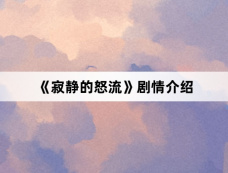 《寂静的怒流》剧情介绍