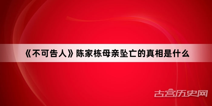 《不可告人》陈家栋母亲坠亡的真相是什么